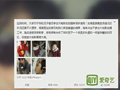 吳鎮(zhèn)宇首度公開(kāi)回應(yīng) 因費(fèi)曼傷情缺席大電影拍攝.mp4