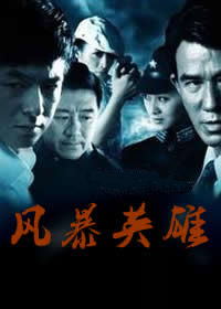 《風(fēng)暴英雄》海報