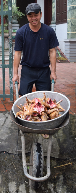 越南貓肉餐廳：將貓淹死、剝皮、切成小塊，再油炸