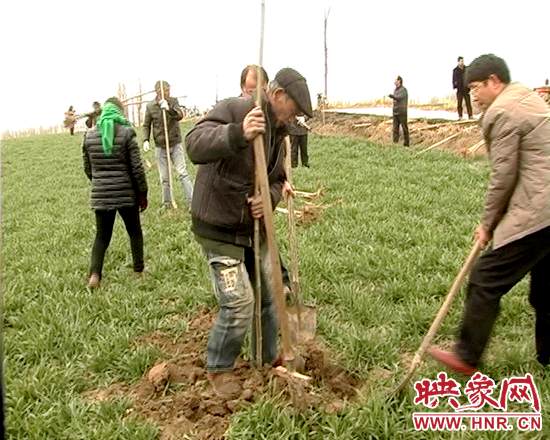 彭橋鄉(xiāng)鄉(xiāng)長(zhǎng)鄧彥雷義務(wù)植樹